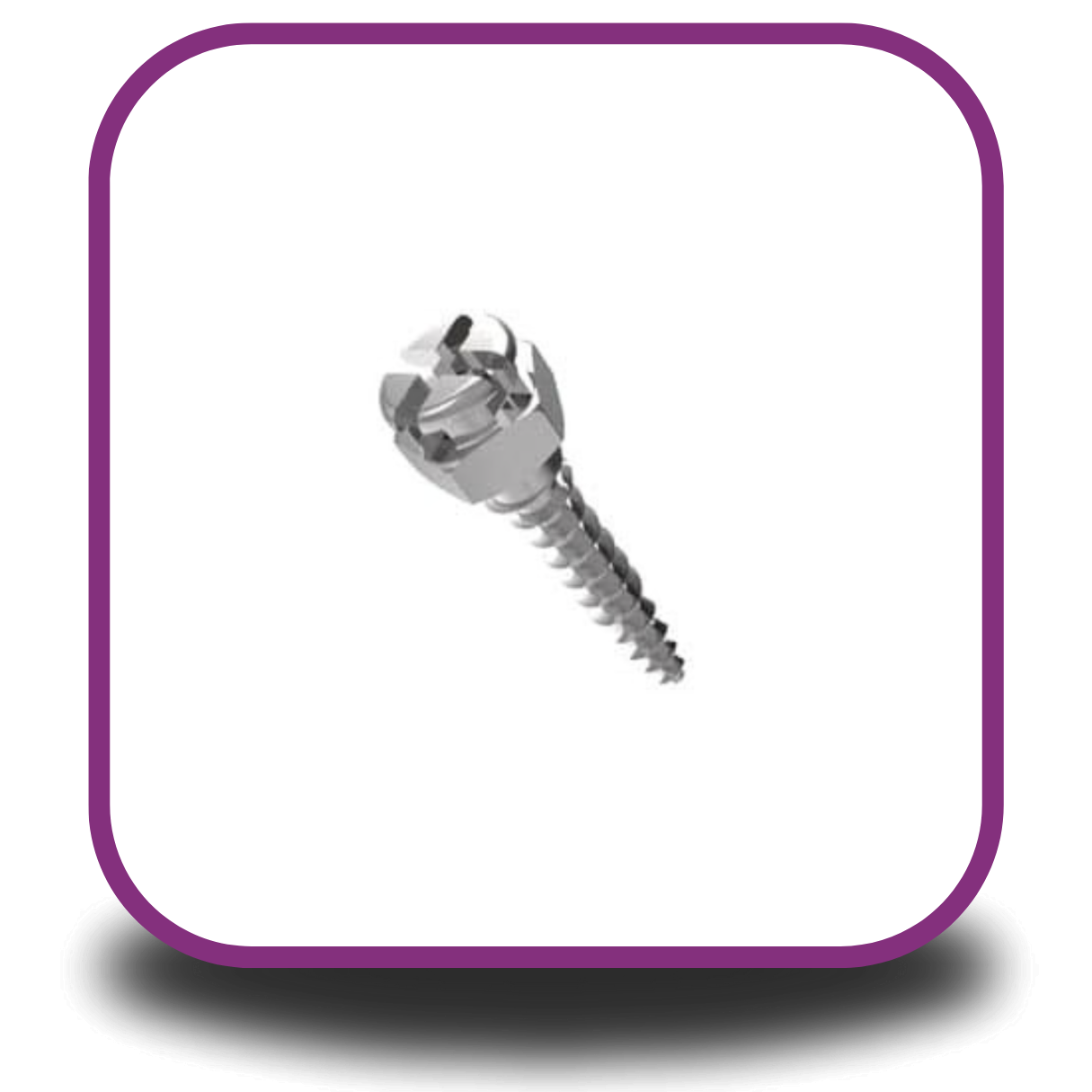 Mini Implant Screws