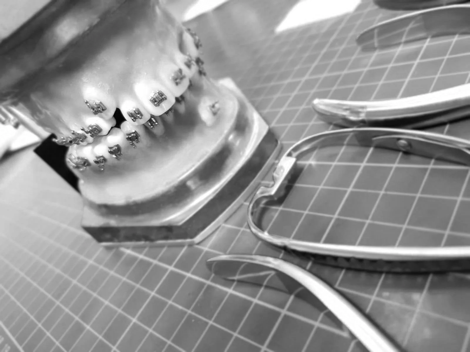 Orthodontic typodont practical close-up
