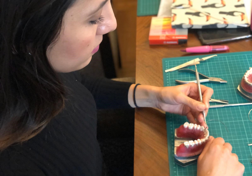 Cephtactics hands-on orthodontic training