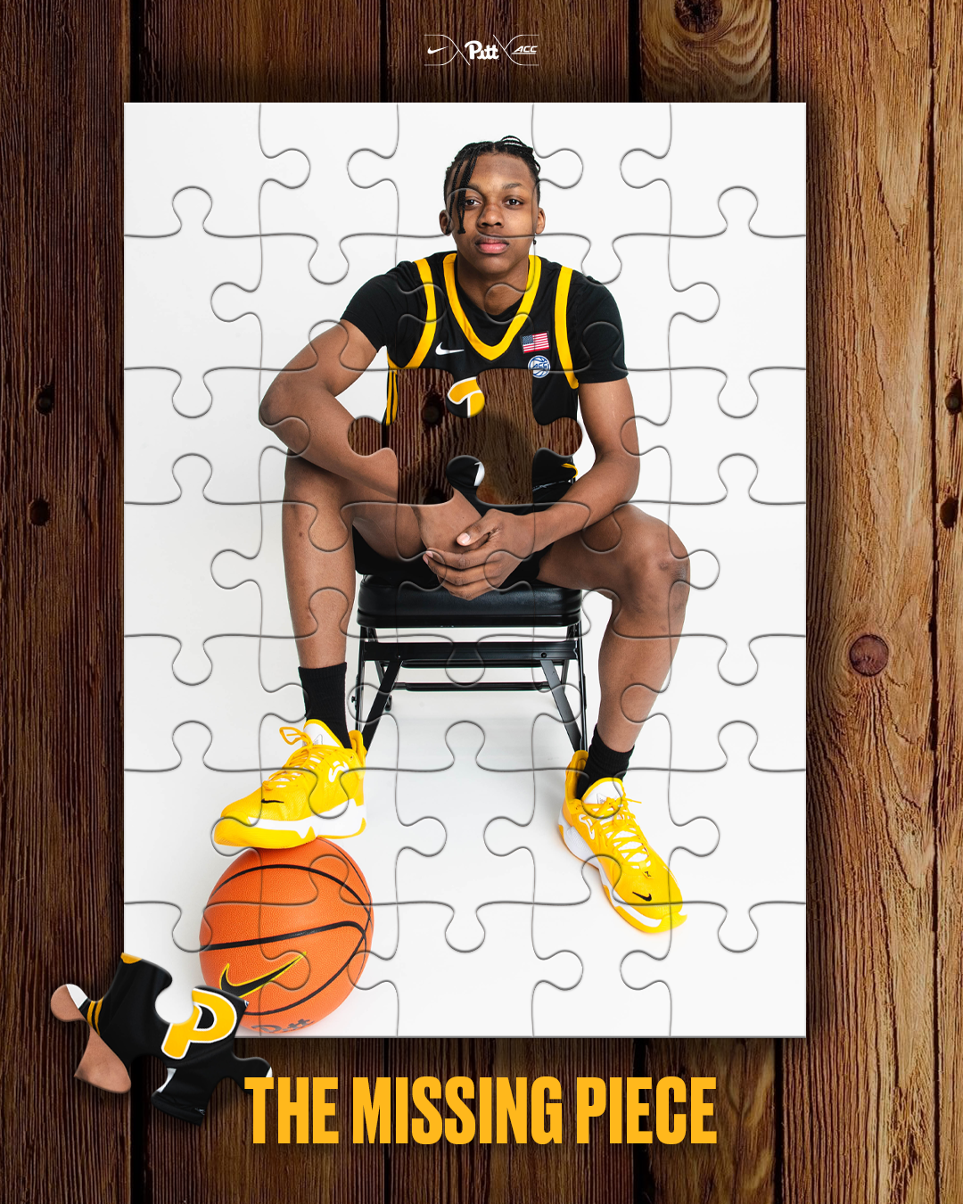 The Missing Piece_Carrington.png