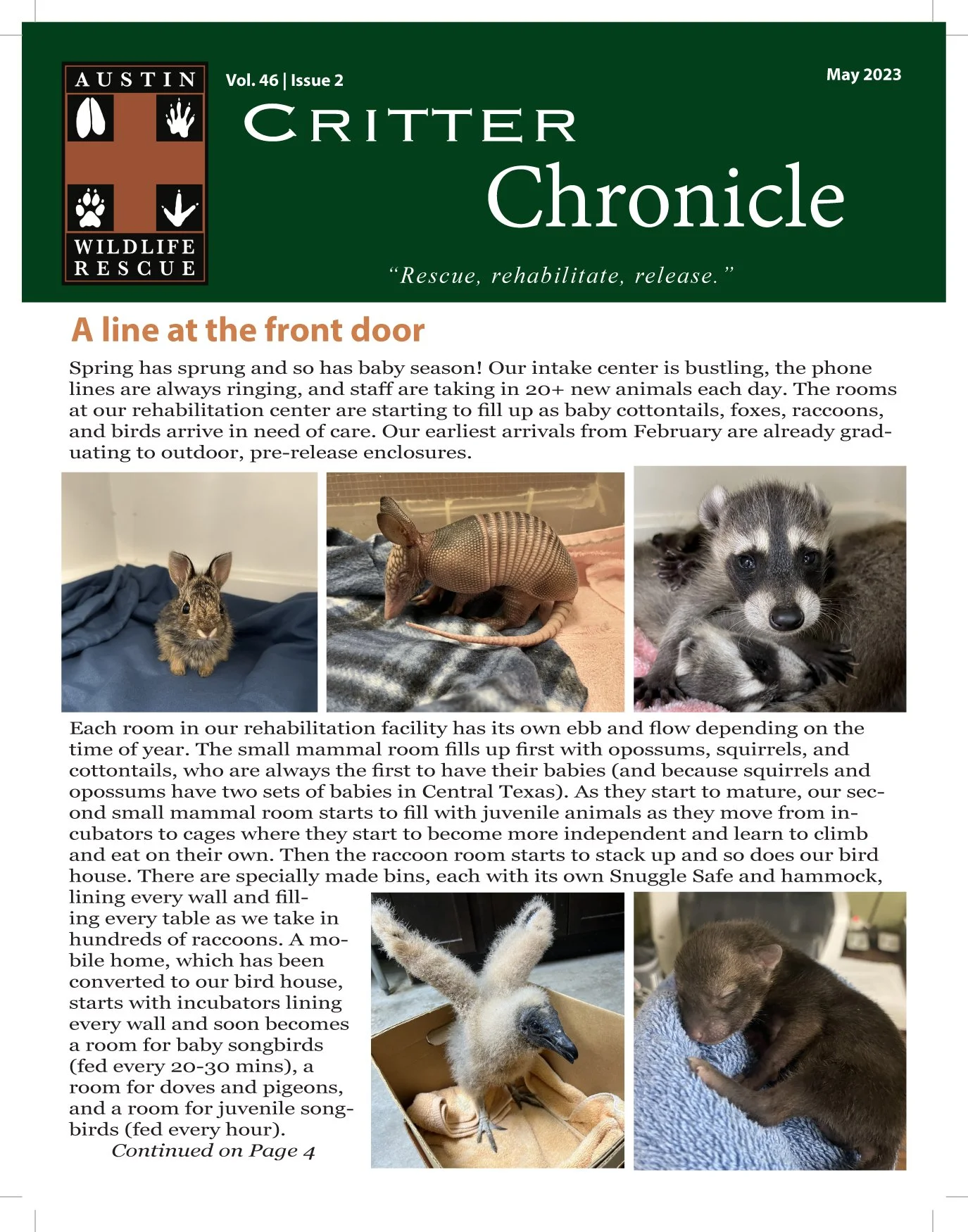 Critter Chronicle - May 2023 — Austin Wildlife Rescue