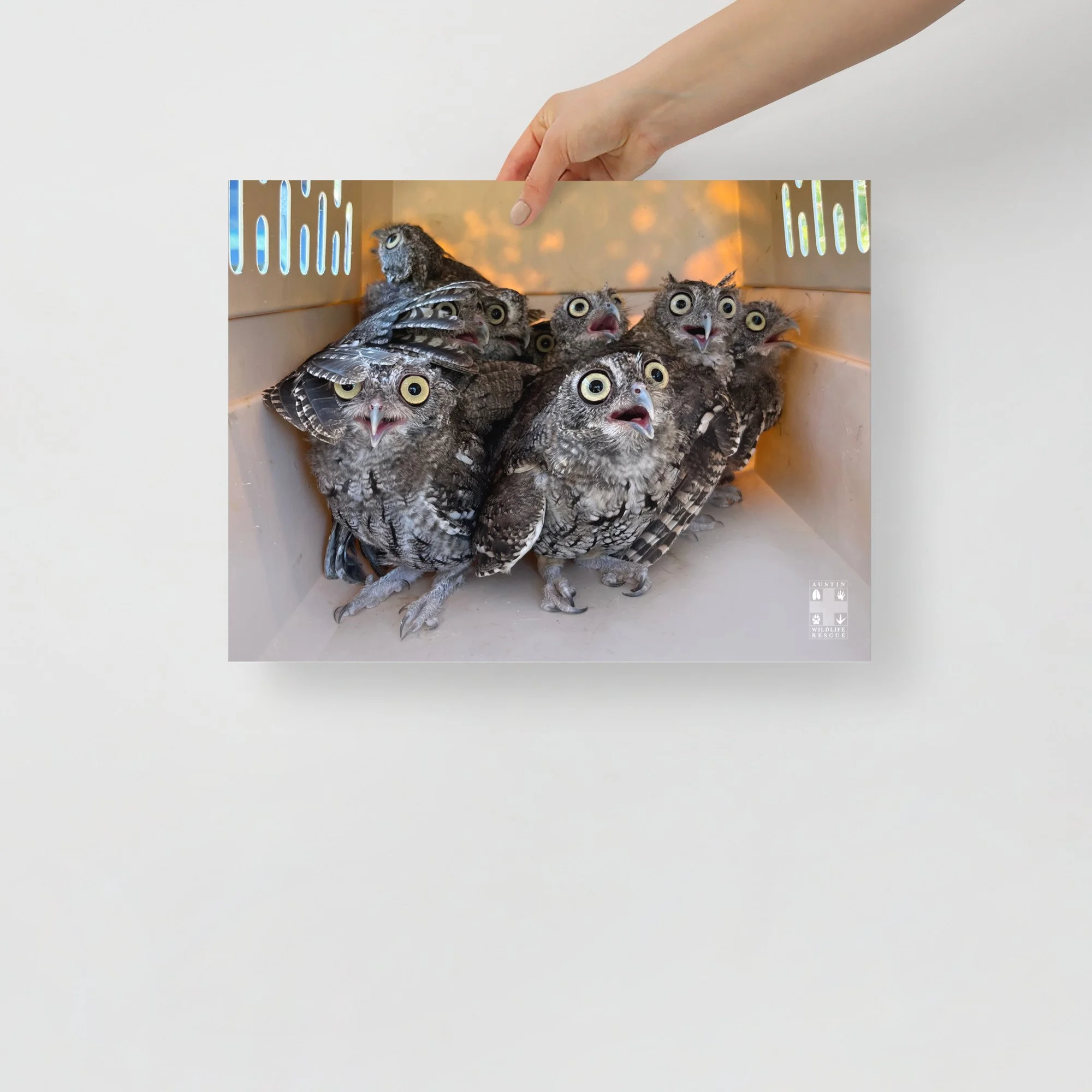 owl様リクエスト enhanced-matte-paper-poster-(