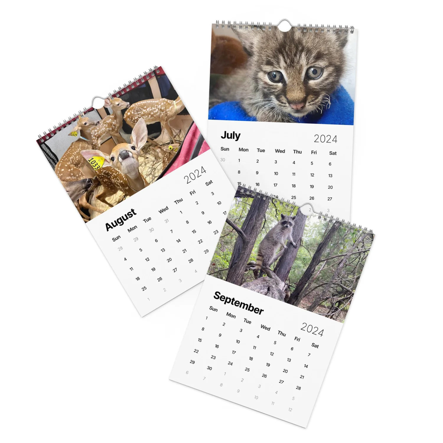 Austin Wildlife Rescue Wall calendar (2024) — Austin Wildlife Rescue