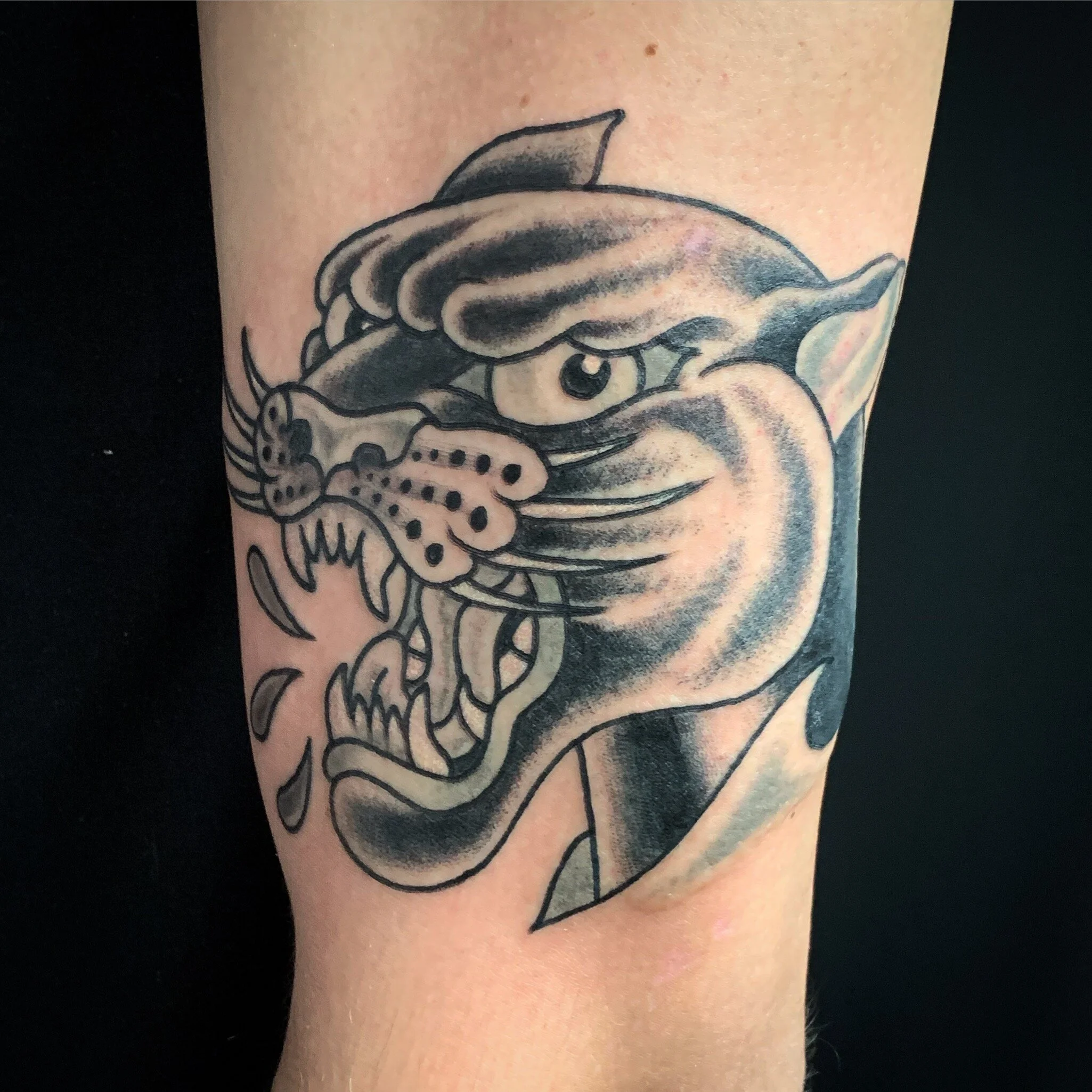 PantherHead.JPG