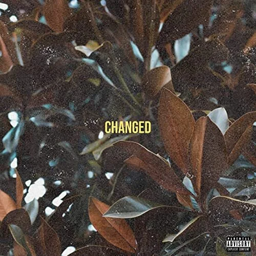 Drake Chisholm &amp; BangerOfTheDay - Changed