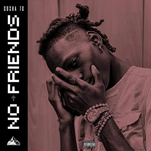 Cosha TG - No Friends
