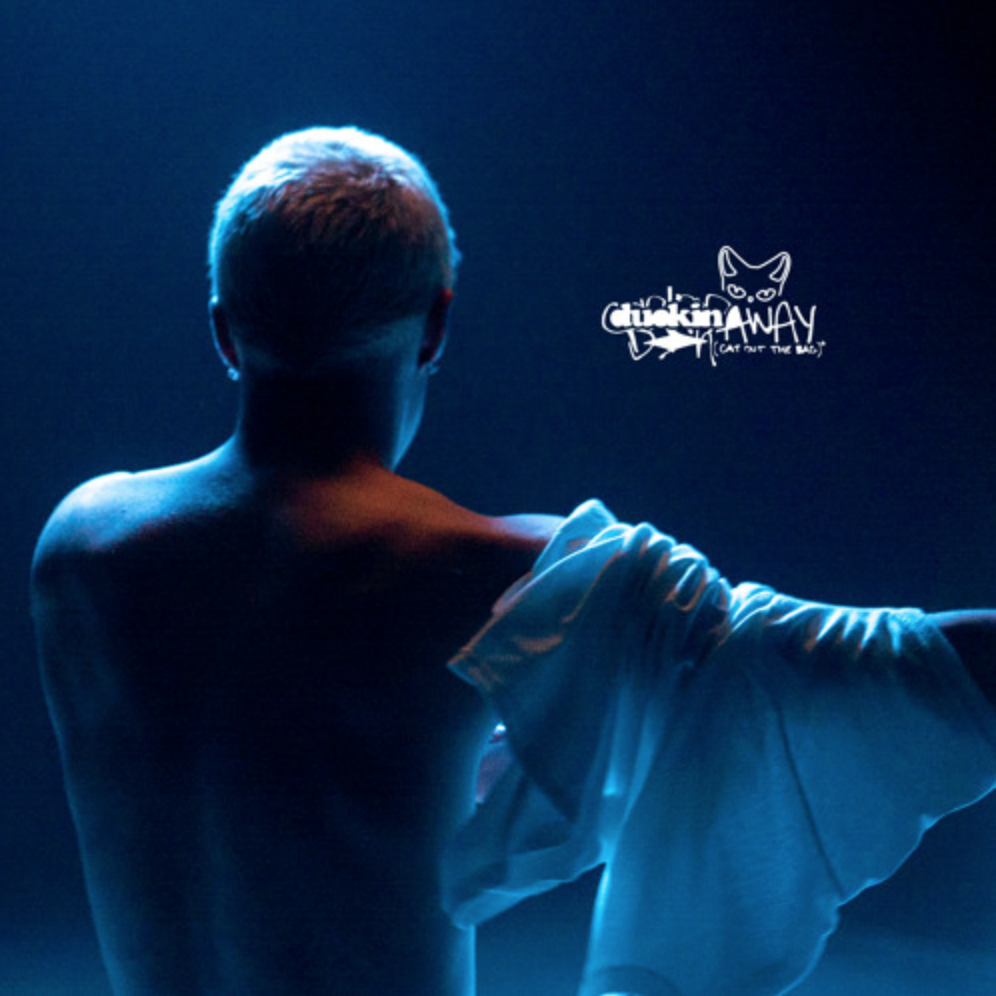 contradash - cat out the bag