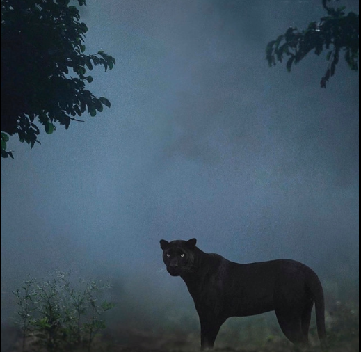 Ebon Lurks- Finding My Way