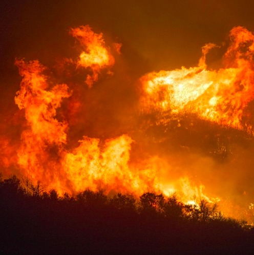 KING SOL - Stand For