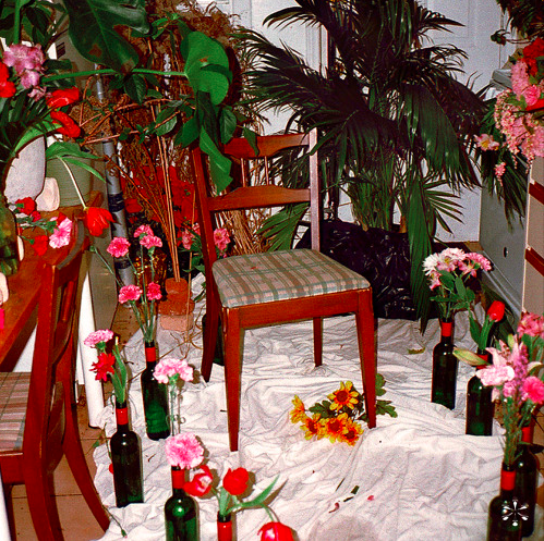 MONEYPHONE-Indecisions