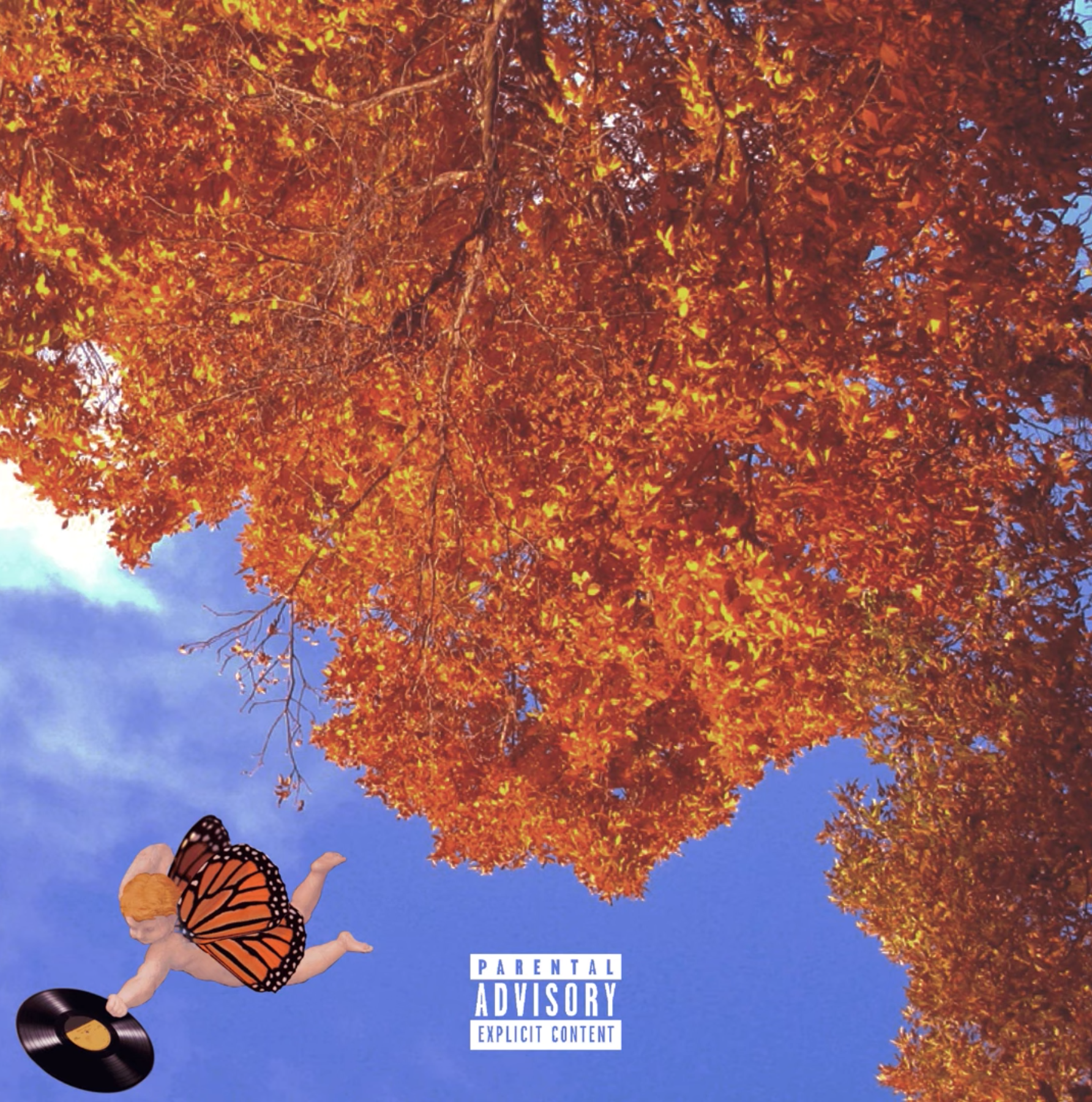 Tiger Tchakounté - Orange (INTERVIEW)