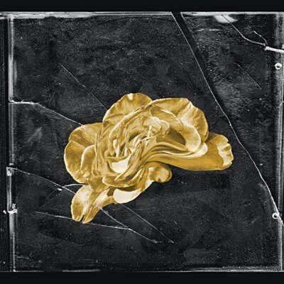 44phantom &amp; SauceOnly - Holly