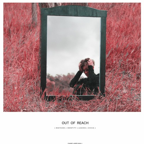 Chase Laser - leaves