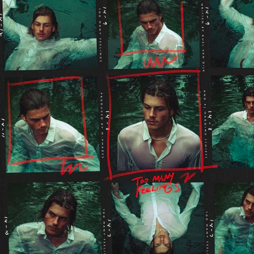 Ruel - too many feelings