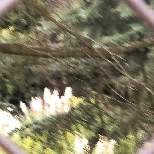 Tristan Wells - Strangers