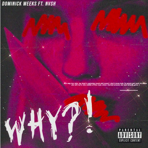 Dominick Weeks &amp; BangerOfTheDay - WHY? (feat. Nvsh)