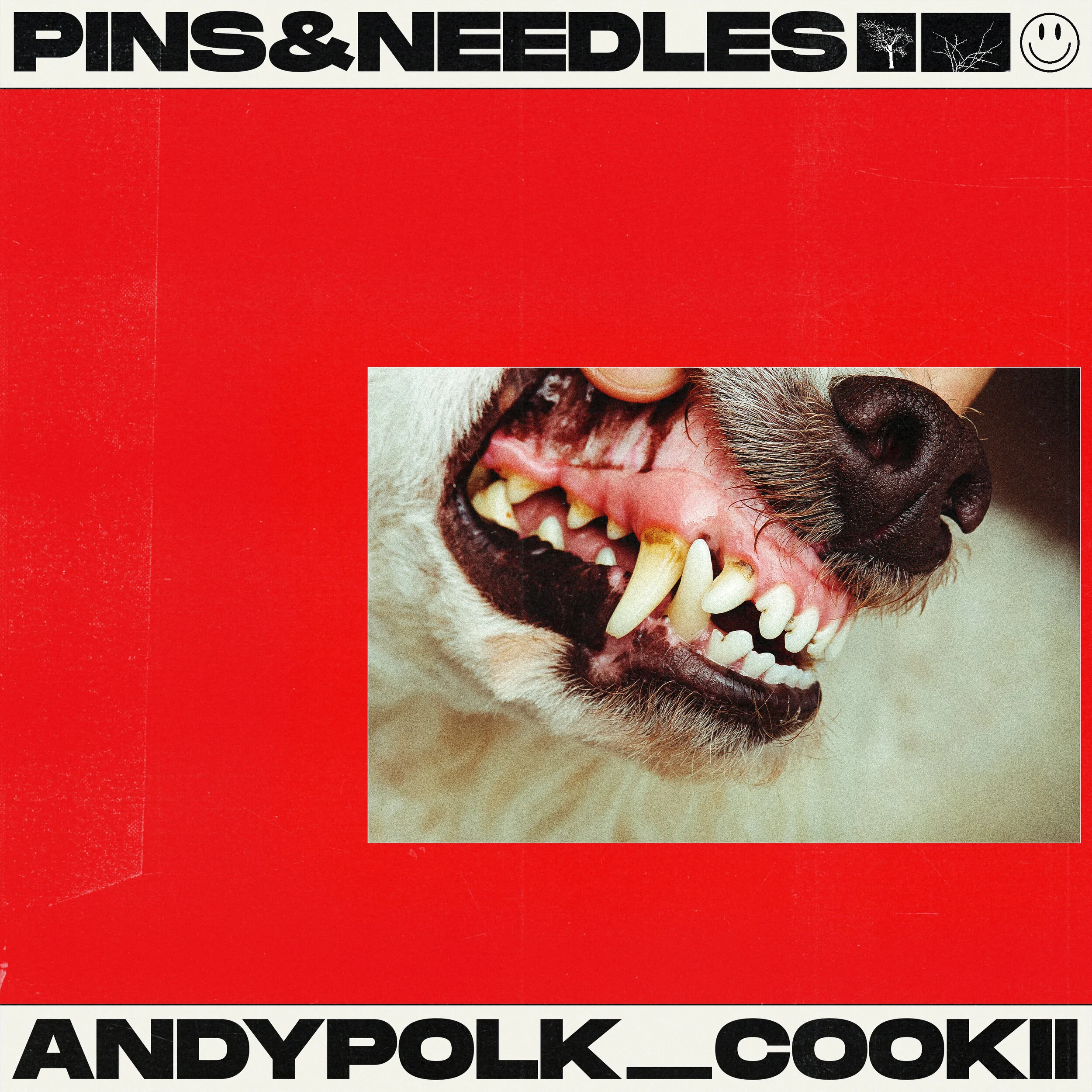 andy polk - pins&amp;needles (w/ cookii)