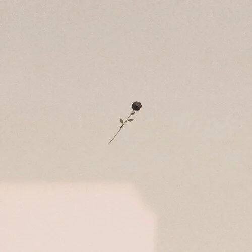 B Murph - don’t trust a soul… 