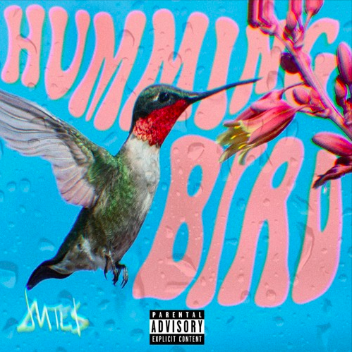 jutes - Hummingbird