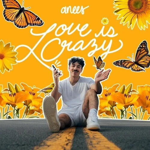 Anees Opens Up About Life &amp; His New Single ‘love is crazy’ 