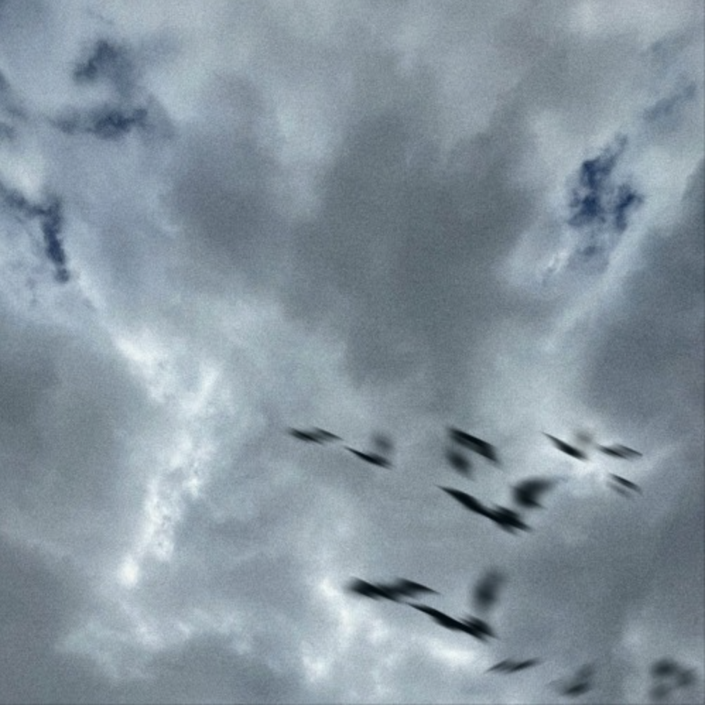 Koshi’s ‘Cobra’ is an All-Out Summer Bop, Full of Emotion