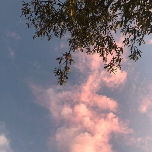 Koi Returns With His Smooth Hit “do you agree?”