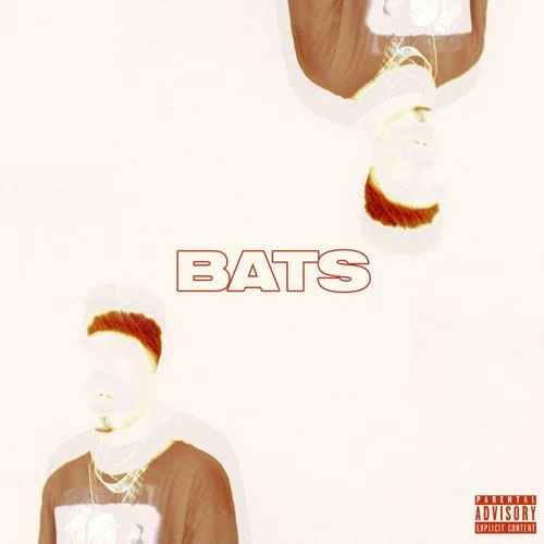 Trip Carter impresses us his new single “Bats”