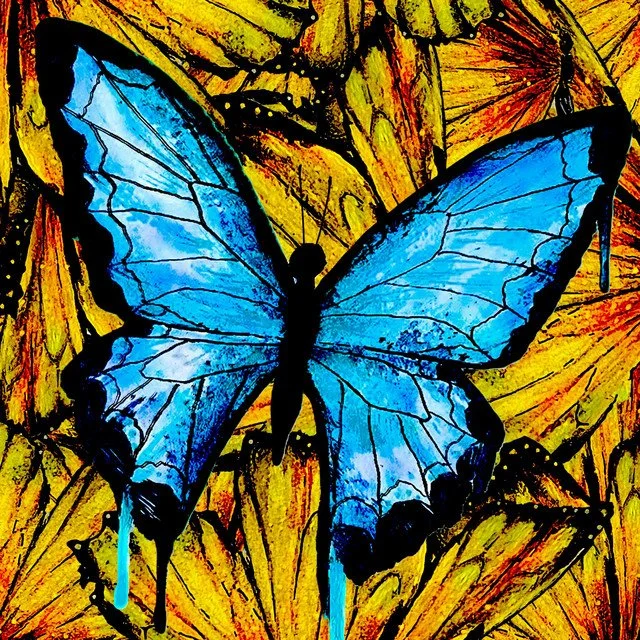 Kid Travis Spreads His Wings On His Enchanting New Single “Butterflies”