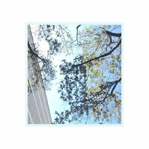 Keanu Bicol Drops High Energy New Single “don’t know”