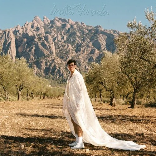 Danny Schiller Impresses With His New EP “Hasta La Dorada”