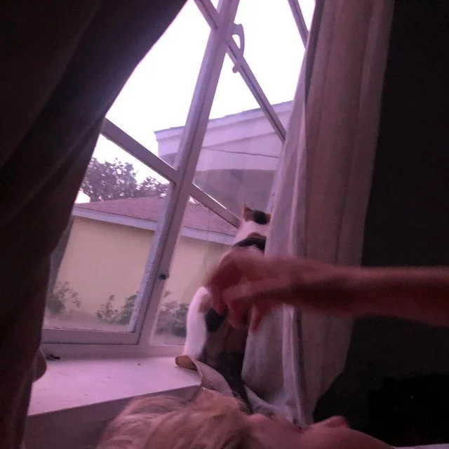 Cat Missal Breaks Barriers With Her Timeless Single "Next to You"