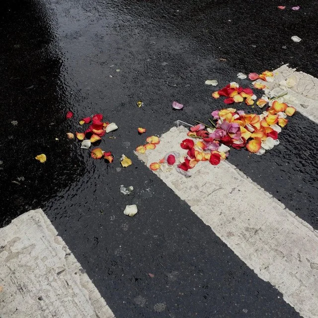 Erika Wester Proves She Can’t Miss With Her Exceptional New Single “where do you go now?”