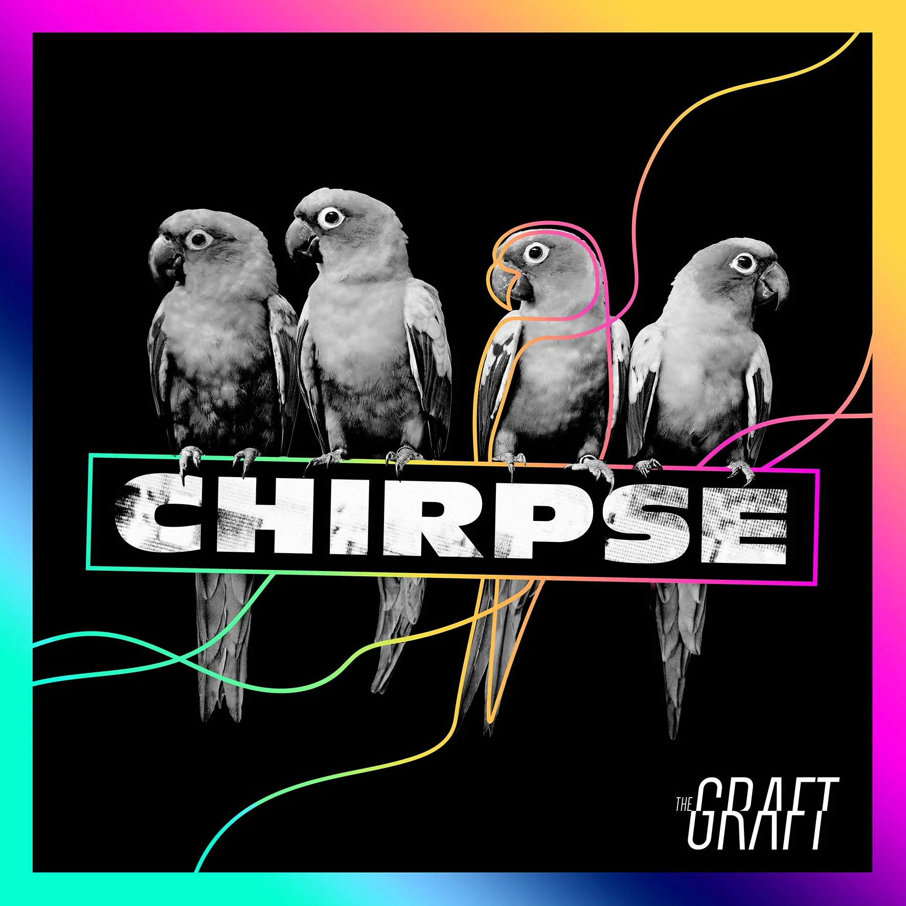 The Graft Impress On Their Debut Album “Chirpse”