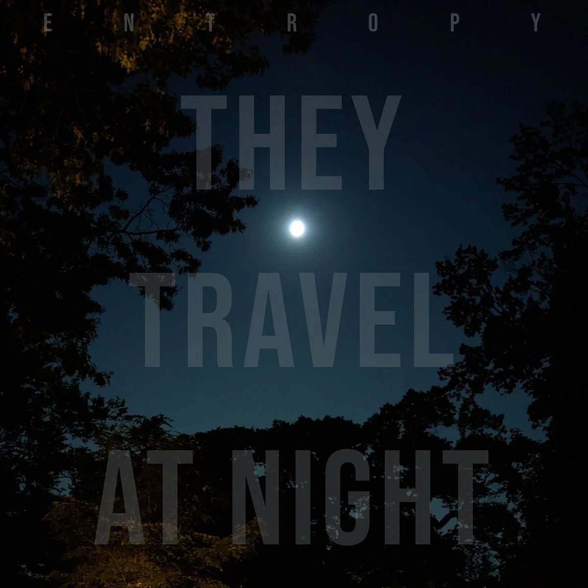 They Travel at Night Release Their New EP, “Entropy”