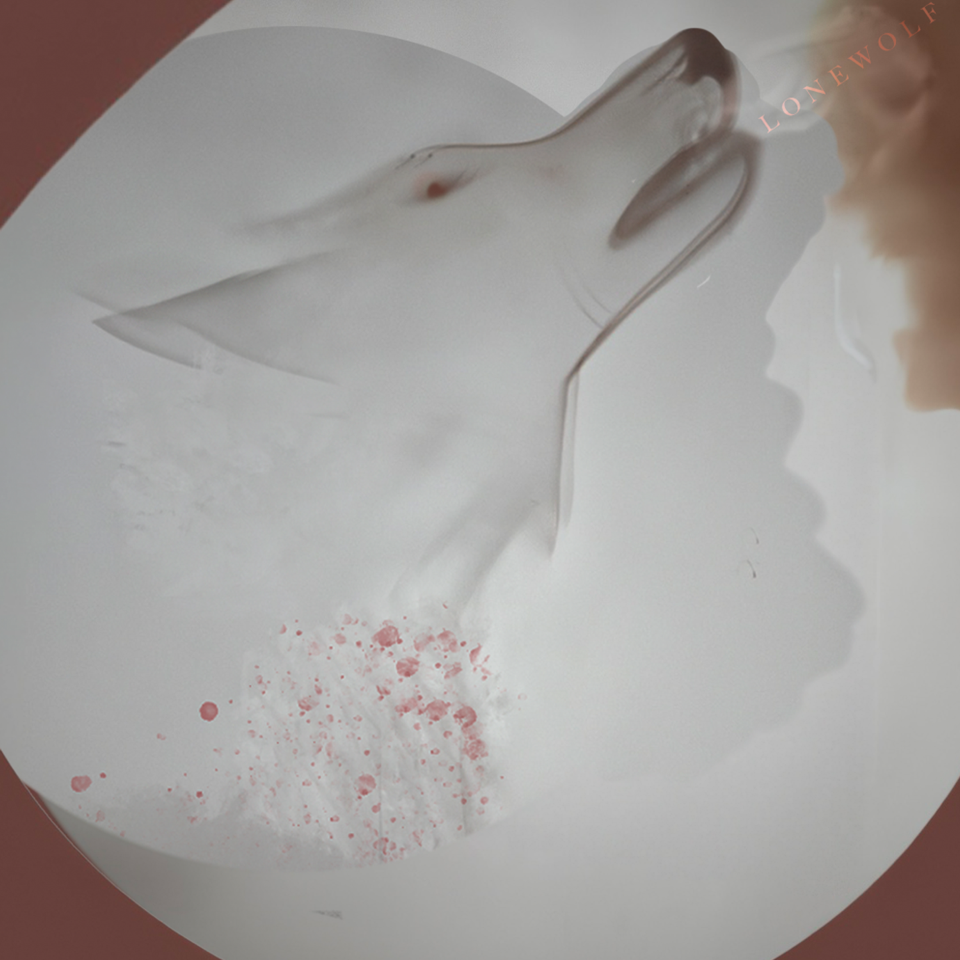 Steinsdotter Proves Her Star Power On Her Latest Release, “Lone Wolf”