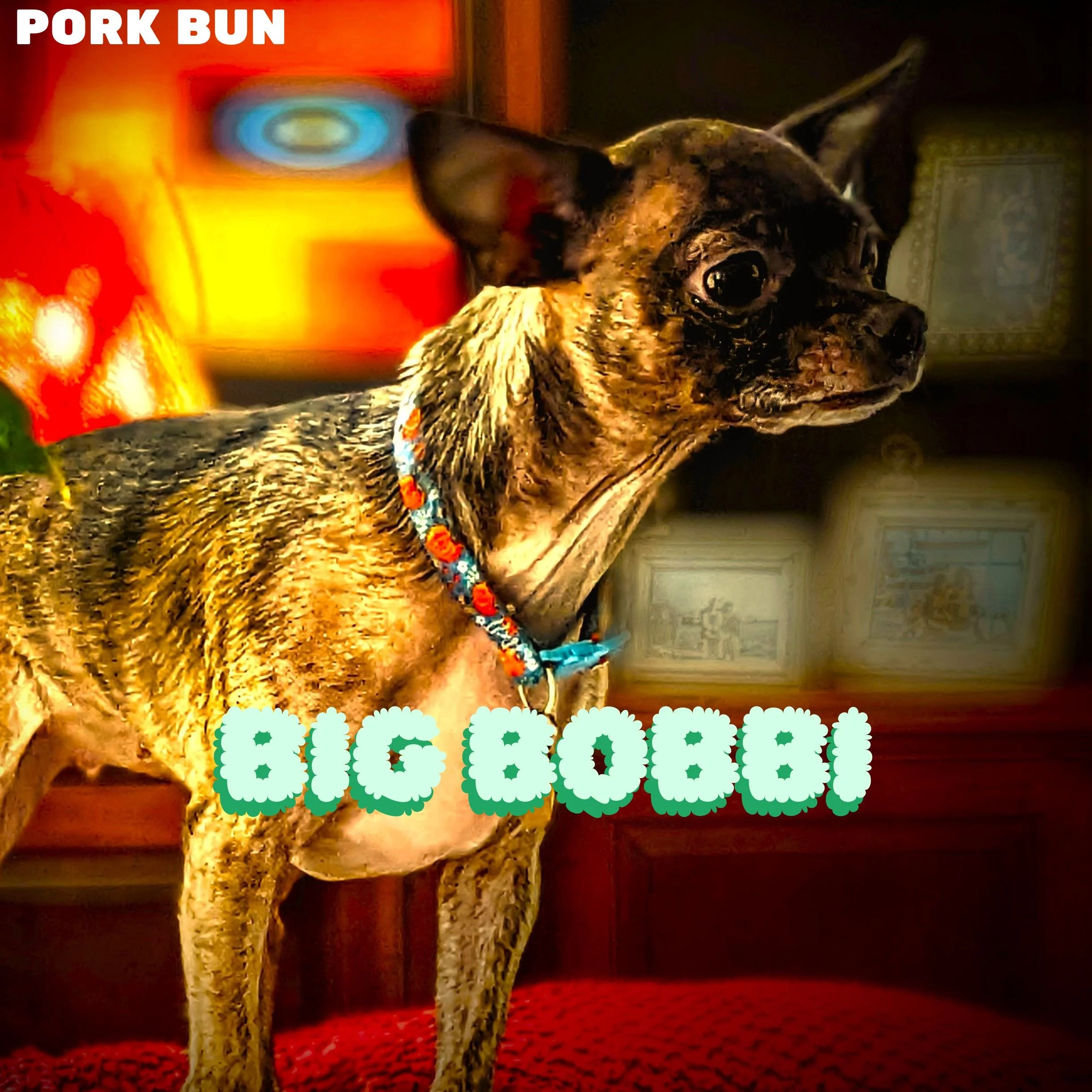 Pork Bun Transports Us Into Another Universe On Debut Album “Big Bobbi”