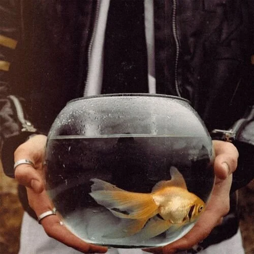 kkanji Shows His Vulnerability in “Picture of you”