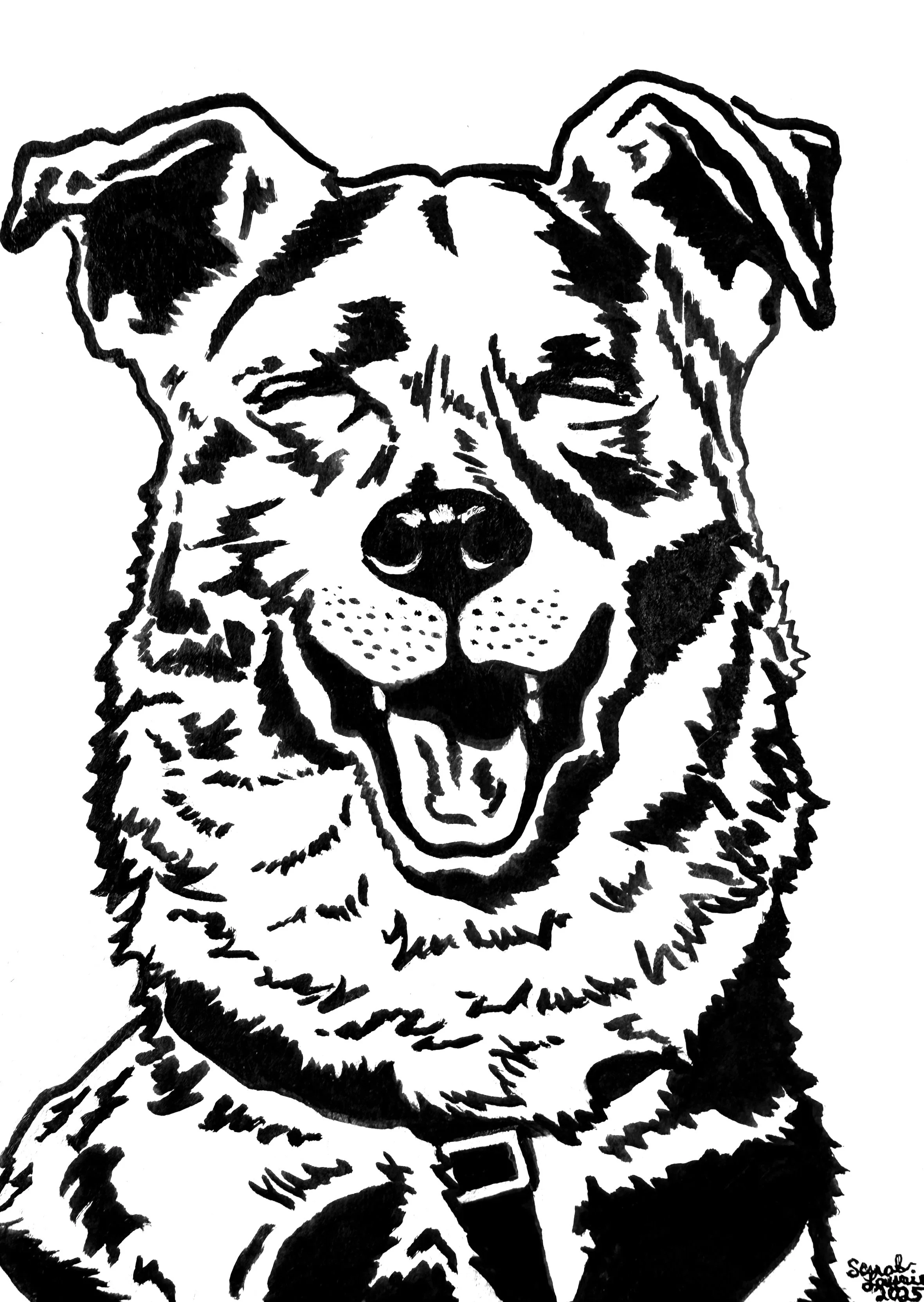 Paco, Ink on Paper (2025)