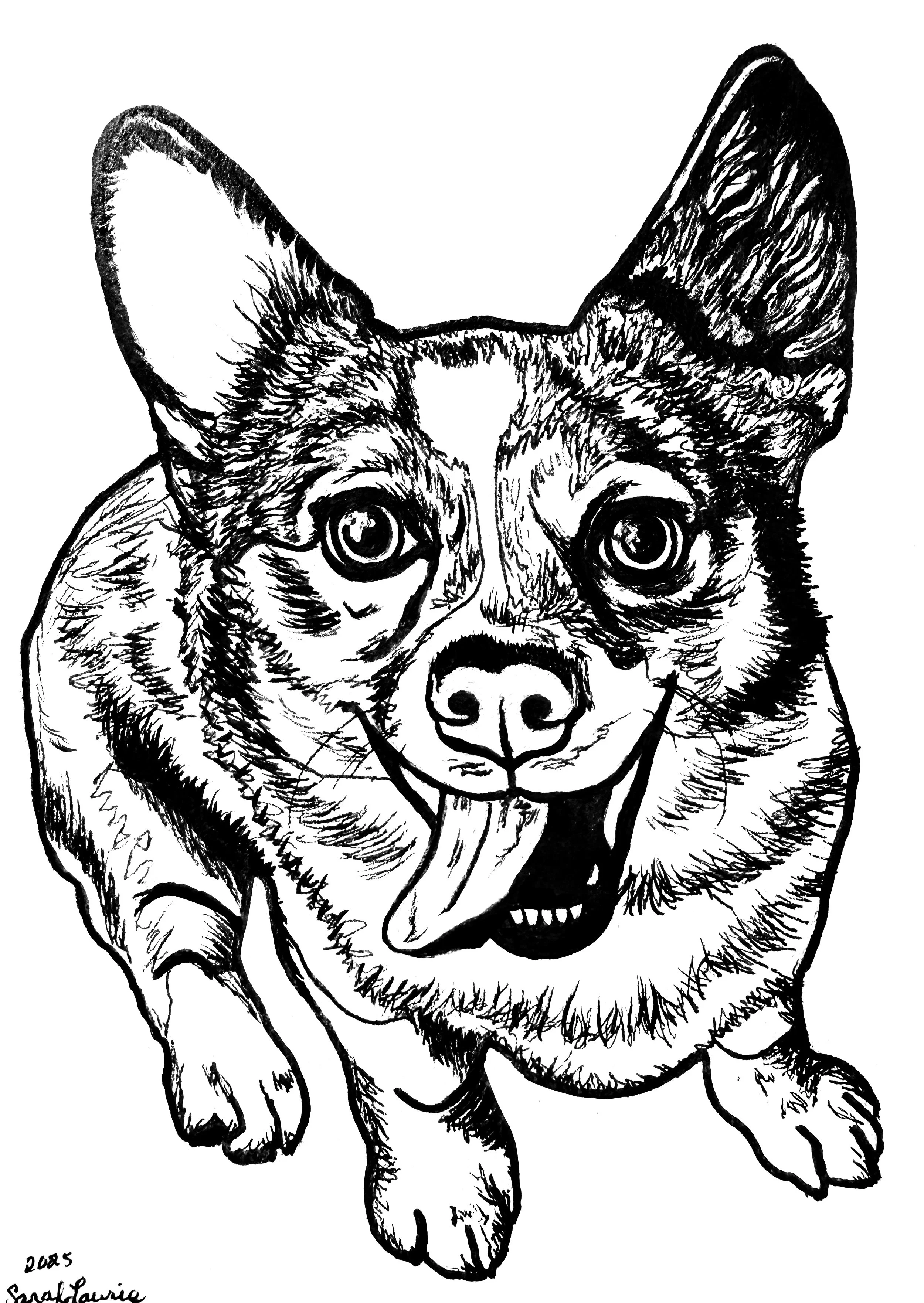 Taki, Ink on Paper (2025)