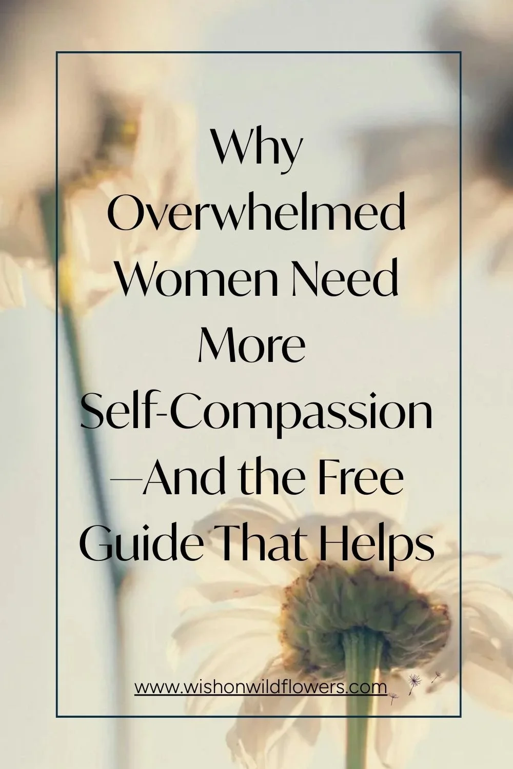 If You Feel Overwhelmed and Hard on Yourself, This Is for You
