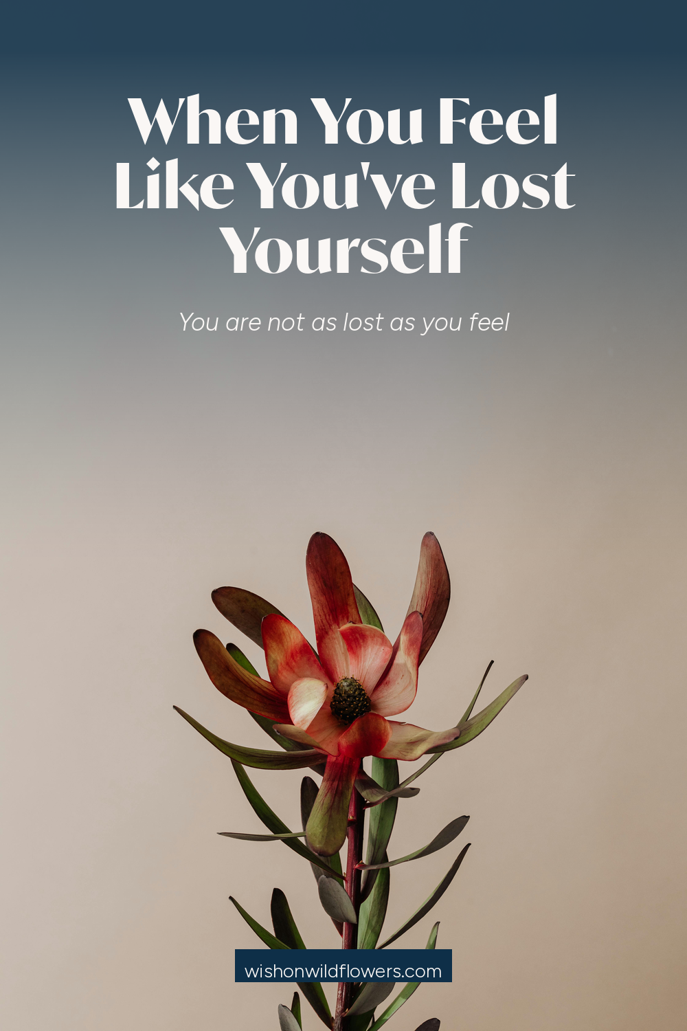 When You Feel Like You Have Lost Yourself