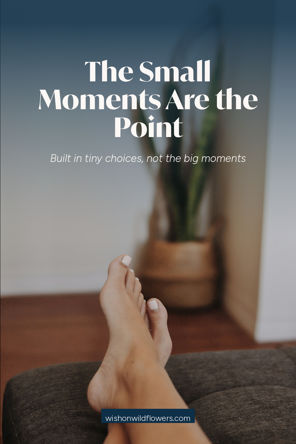 The Small Moments Are the Point:     How to Create a Life That Feels Good Now