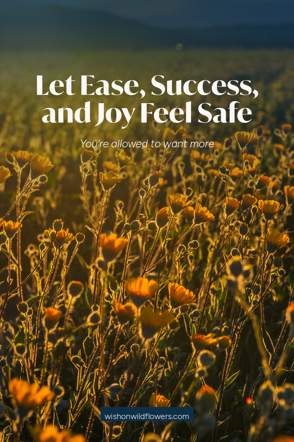 Let Ease, Success, and Joy Feel Safe