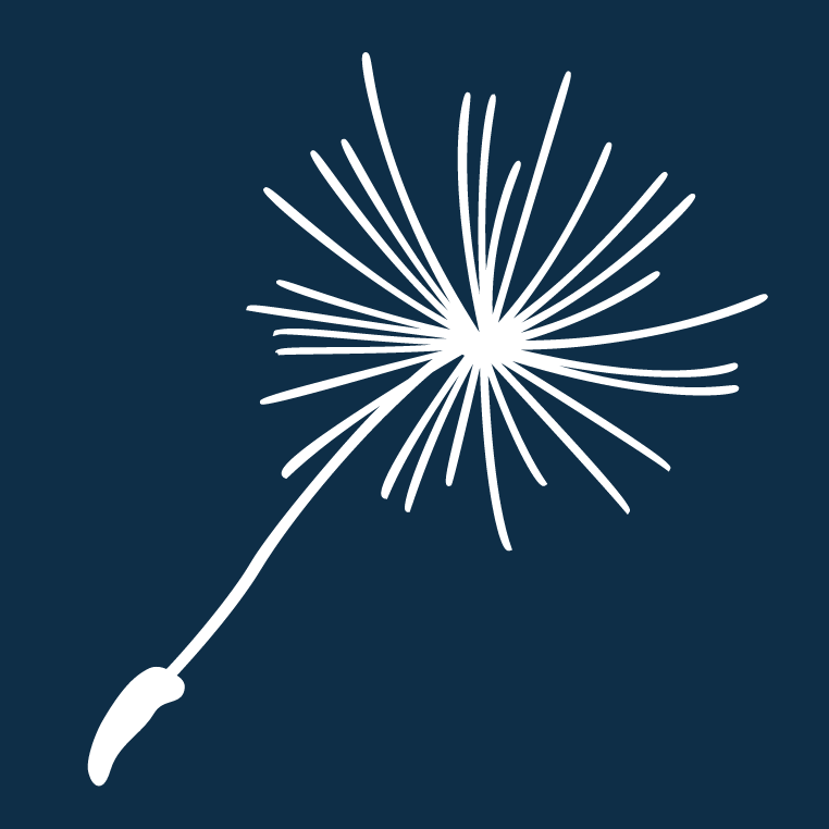 Drawn dandelion