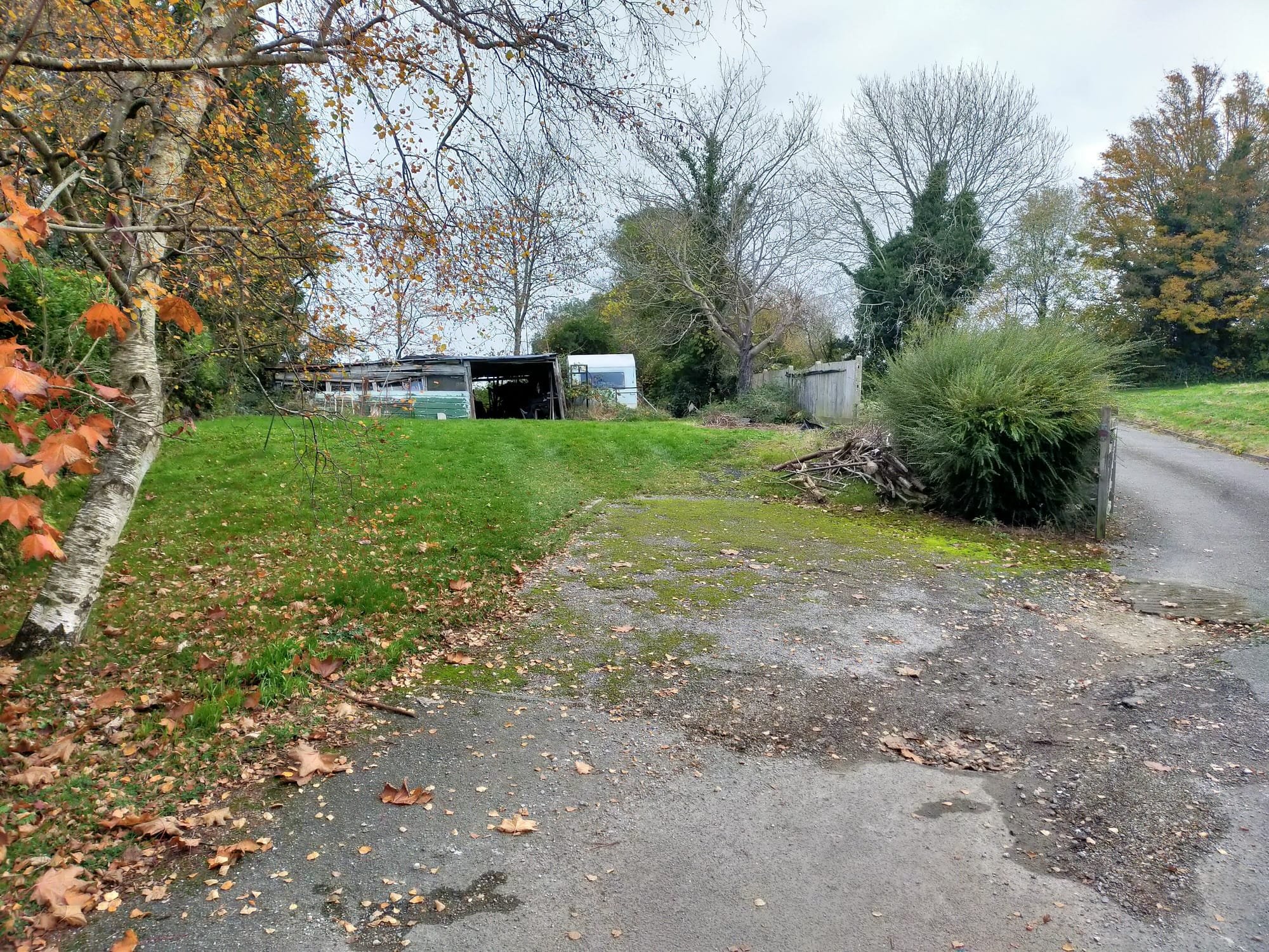 Autumn scene with a driveway, scattered leaves, green grass, bare trees, a small building, and shrubbery.