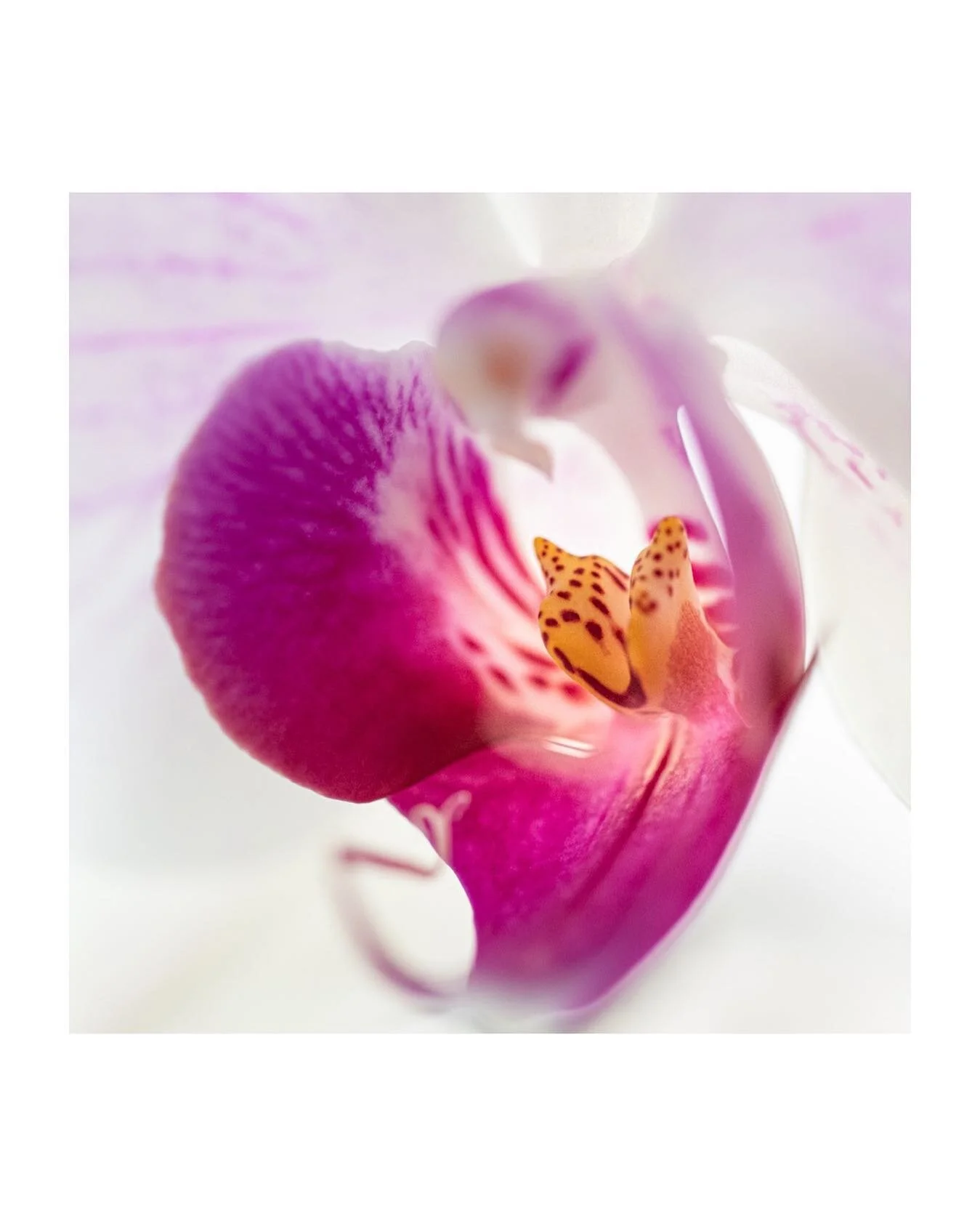 &lsquo;Bad things can happen&hellip;.but good things can grow from it&rsquo; 
⚡️
Not gonna lie, I&rsquo;ve had a f**king shit week!!! 
But then I stumbled across this quote and it got me thinking that things really do happen for a reason.  I&rsquo;ve