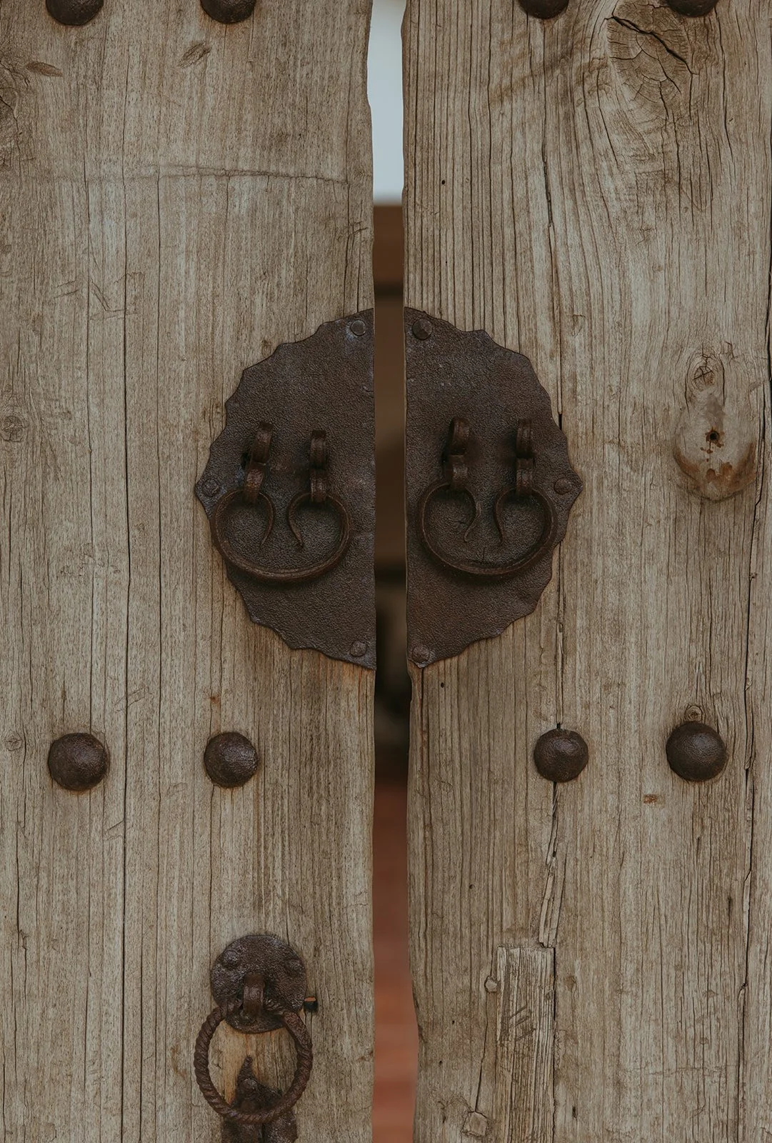 239A9593.jpg
