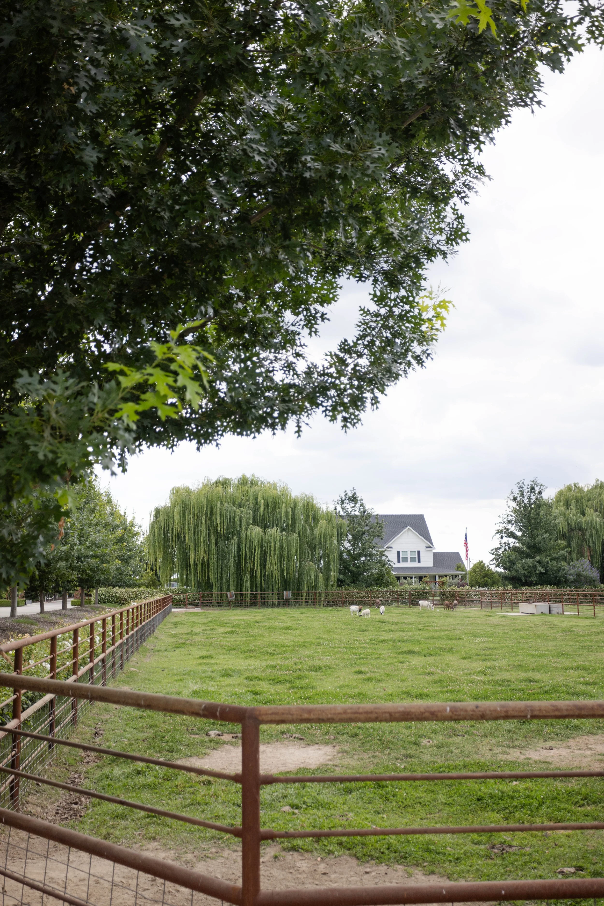 AD-Diepersloot Home_005.jpg