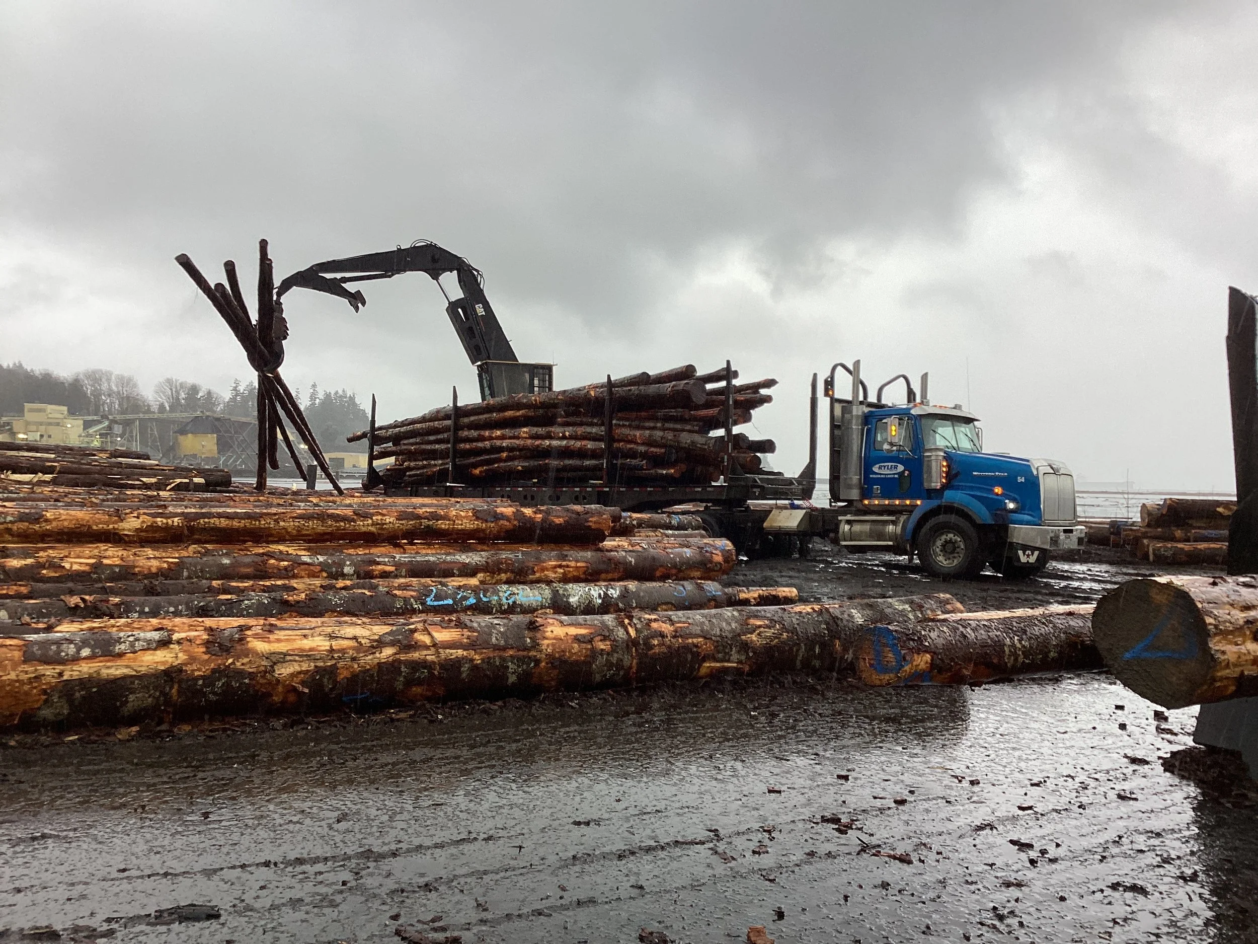 Log Sales — Mosaic Forest Management
