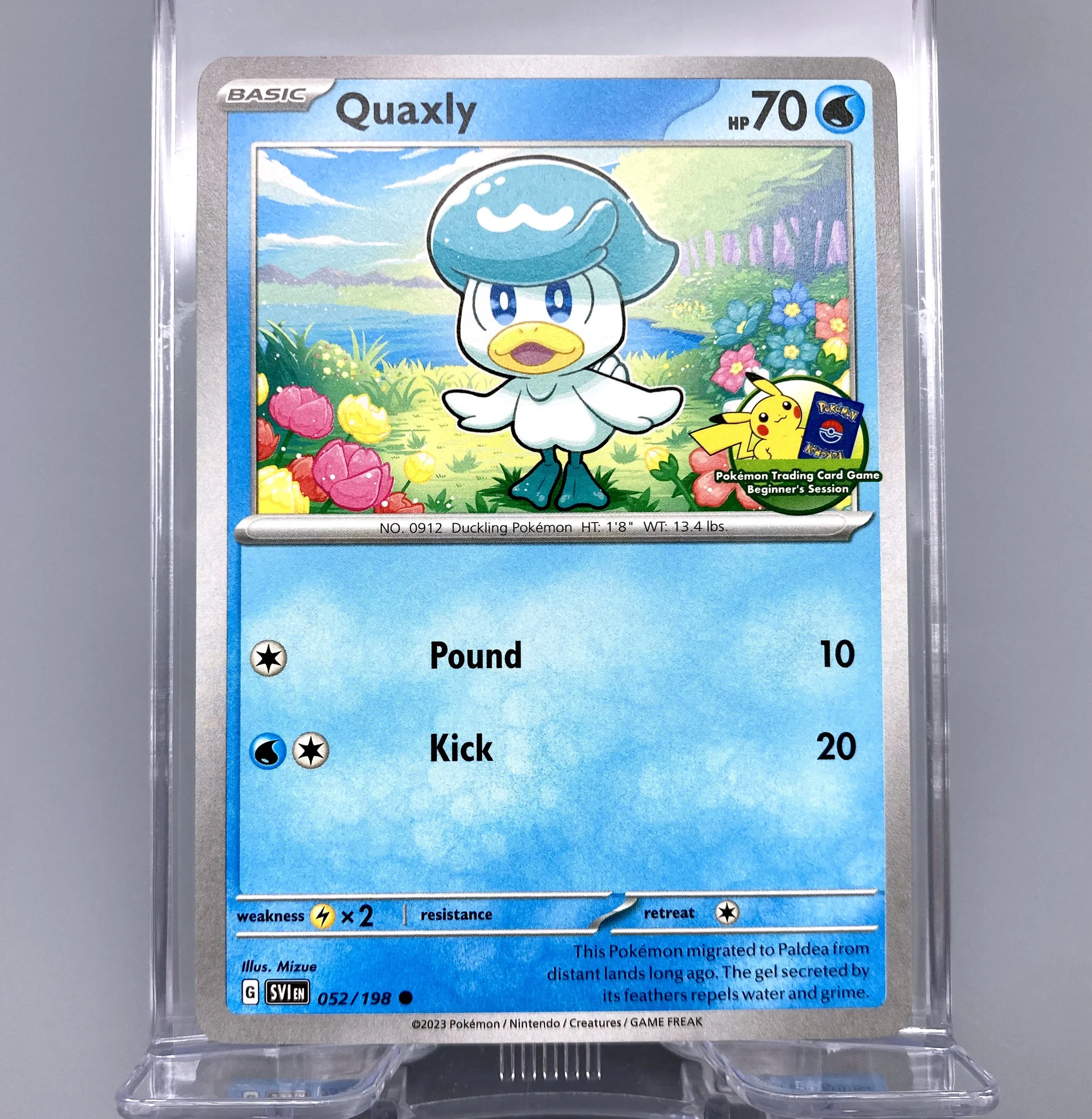Pokémon TCG Beginner's Session Starters — MATOBA DESIGN